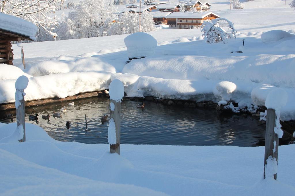 Feriendorf Wildschoenau Niederau Exterior foto